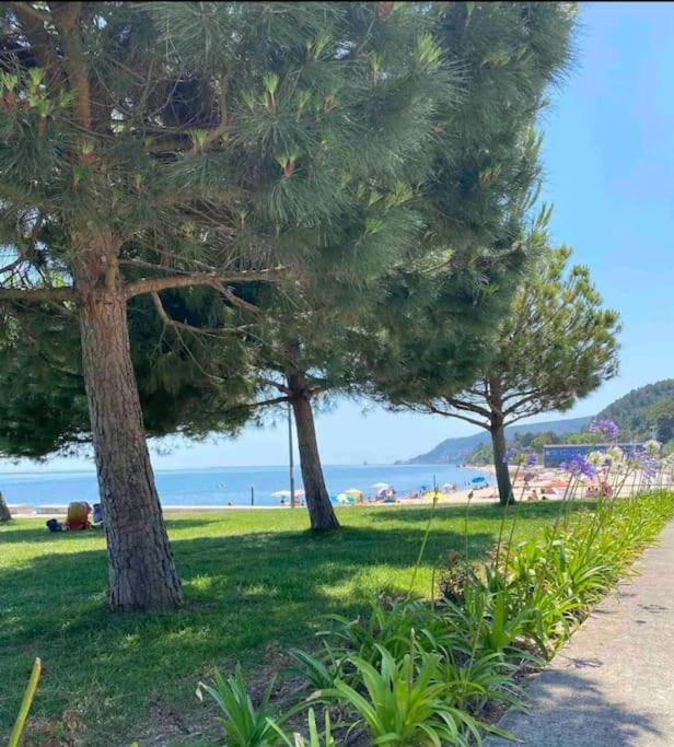 Setubal Rp House Apartamento Perto Do Mar E Comercio Na Luisa Todi Kültér fotó